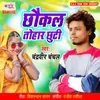 About Chhaukal Tohar Chhuti Song